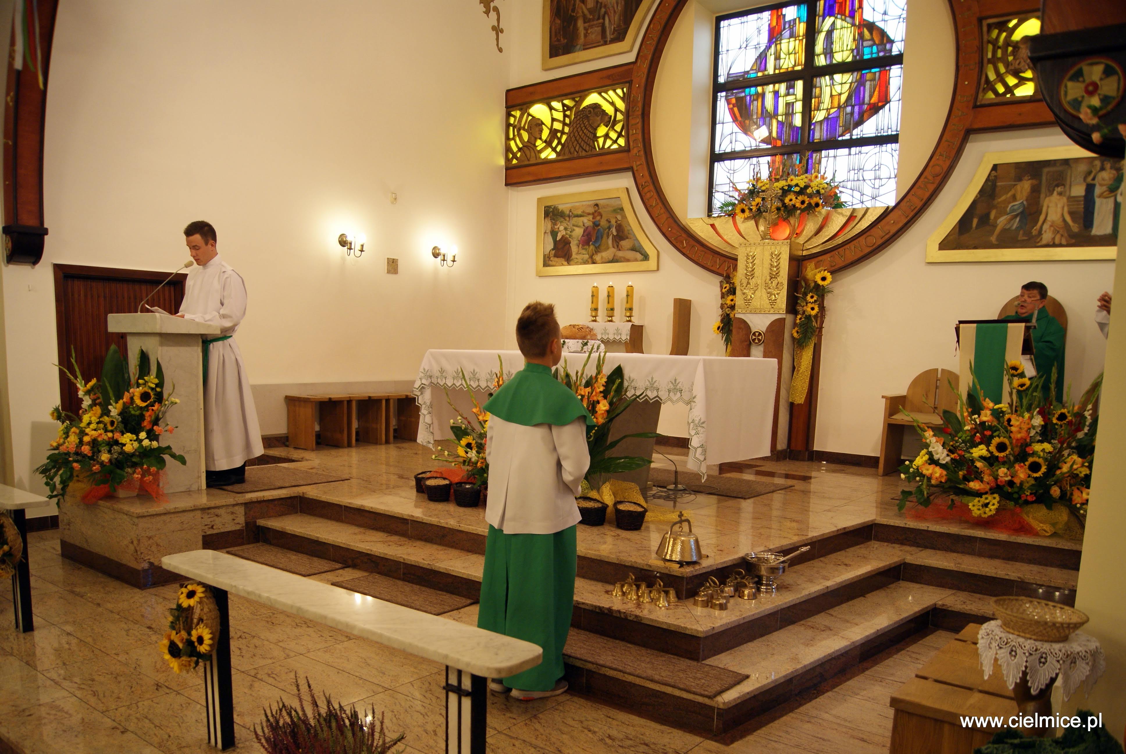 XXV Niedziela Zwykła – Niedziela Biblijna